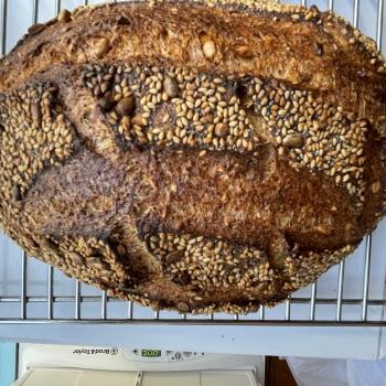 Fiona Appolonia 1.6 kilo Miches and Batards second overview