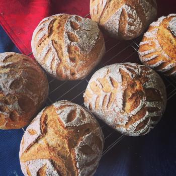 Franklin Deladough Riseavelt recipe