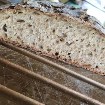 FREDDARR Old fashioned farmers bread second slice