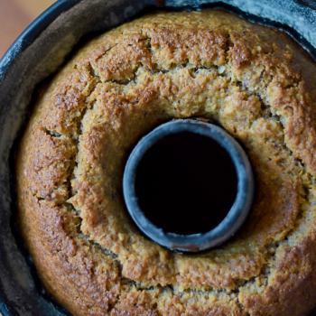 gingeryeast Probiotic fermented bread first overview