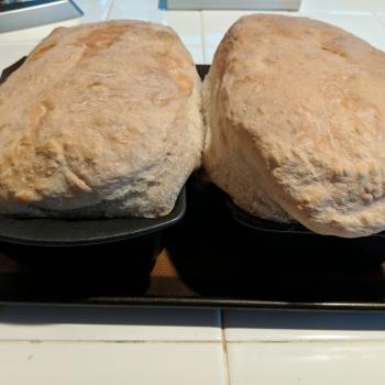 Gluteny on the Bounty Sandwich Bread second overview
