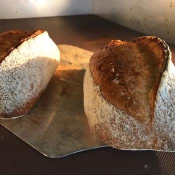 Haensel Wheat Sourdough first overview
