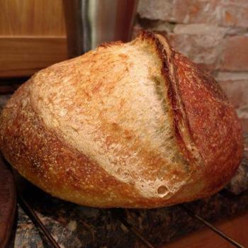 Hamm Boule first overview
