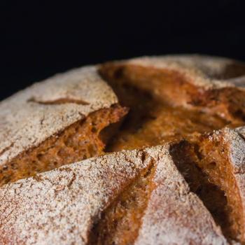 Hansel 100% Whole Wheat first overview