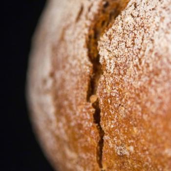 Hansel 100% Whole Wheat first slice
