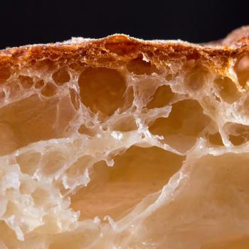 Hansel Ciabatta first overview