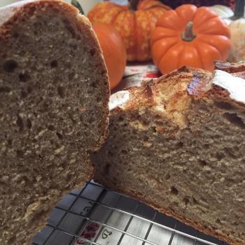 Hapa wheat Sample bakes first slice