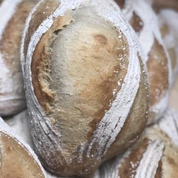Herman Pain De Campagne first overview