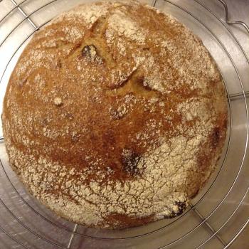 Hildegard  Breads et al first overview