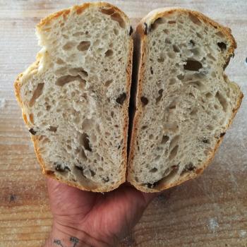 Hope Bakery Chile Rustico first overview