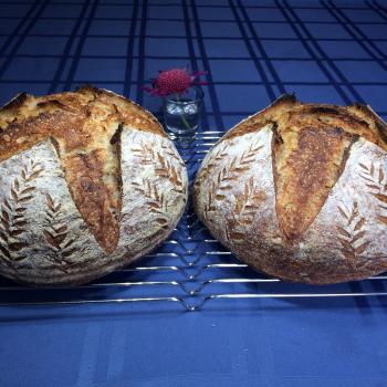 Iris Sourdough boule second overview