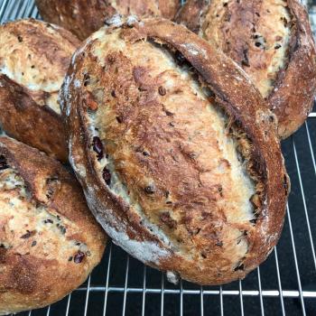 June Sourdough walnut cranberry bread first overview
