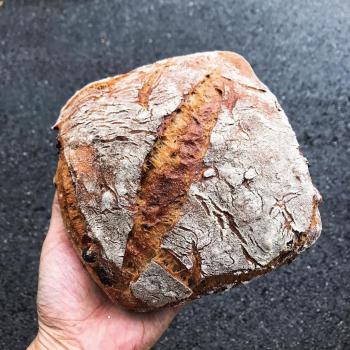 June Sourdough walnut cranberry bread second overview