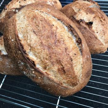 June Sourdough walnut cranberry bread second slice