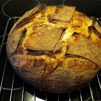 Justiina All wheat breads and buns first overview
