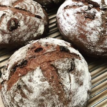 Karma Chocolate Sour Cherry bread first overview