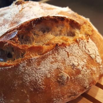 Kevin Bread first overview