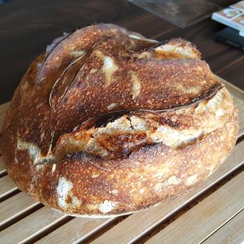 Kevin Bread second overview