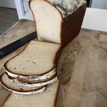 Koala Loaf/ High loaf pan/ Bagels/ Panettone  second overview