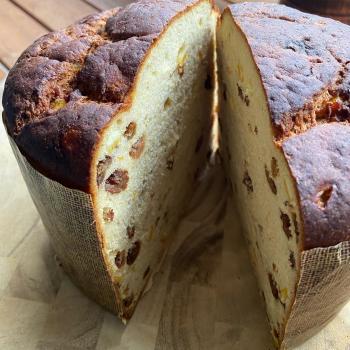 Koala Loaf/ High loaf pan/ Bagels/ Panettone  second slice