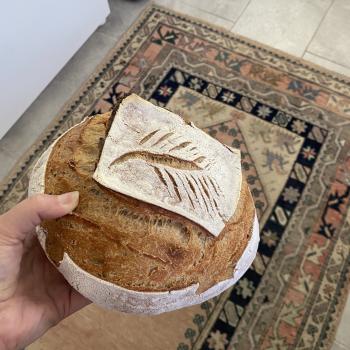KT's Mighty Starter Sourdough Bread second overview