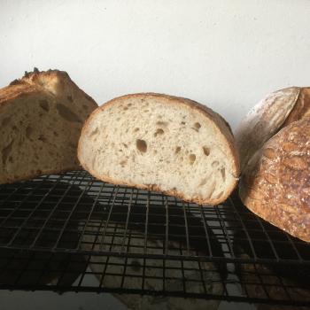 Kvasimodo Bread - Classic second overview
