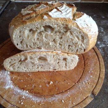 lactobacillusthundersleyensis White sour dough bake first slice