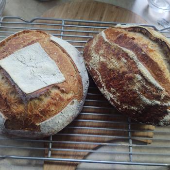 LaForge recipe