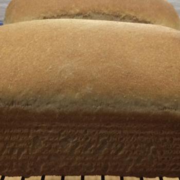 Lake Tawakoni White Enriched Breads first overview