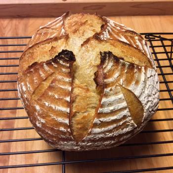 Lake Tawakoni White Sweet Potato Sourdough second slice