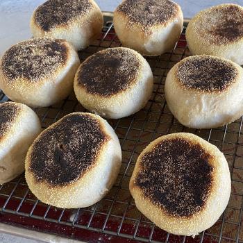 Larry Sourdough English Muffins first overview