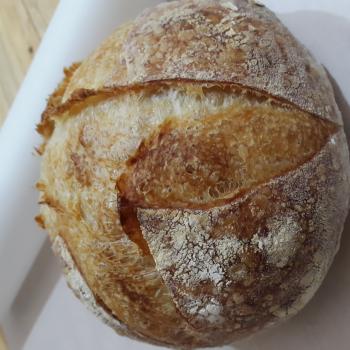 LeeminKo White Loaf first overview