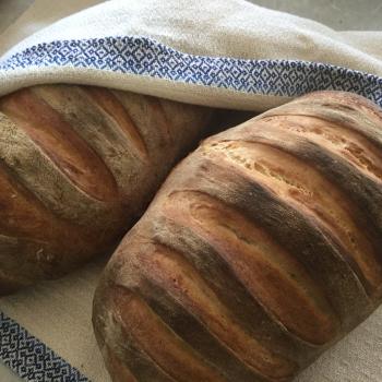 MacGuffin Bread first overview