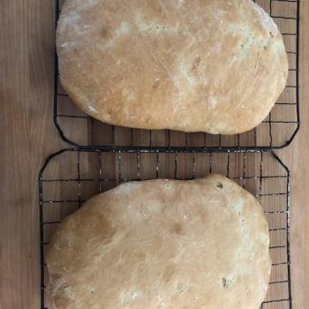 MacPike Family Starter Other Bakes first overview
