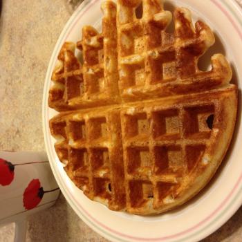 Mah starter Waffles first overview