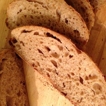 Mah starter White spelt first slice