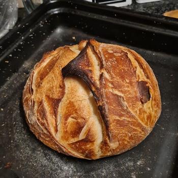 Marietjie  Sourdough bread first overview