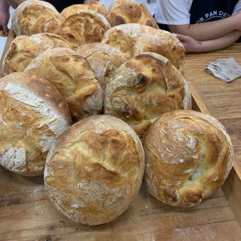 MASA MADRE  PAN DE CAMPO  second overview
