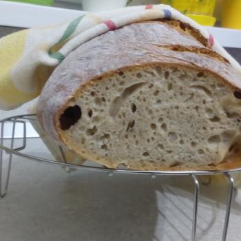 Maximilian Bread first overview