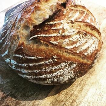 Maximus Brioche sourdough second overview