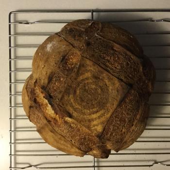 Maya Cake first overview
