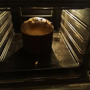 Memole Panettone made with the sister starter of memole second overview