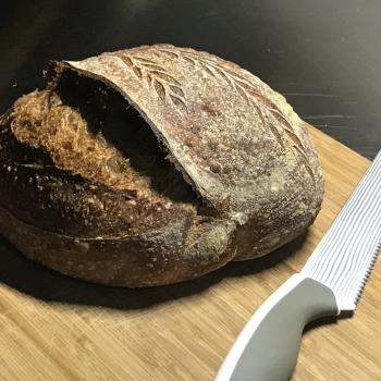 Minion Sourdough Whole Wheat second overview