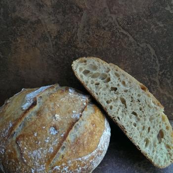 Miss Bubbles Hove's loaves first overview