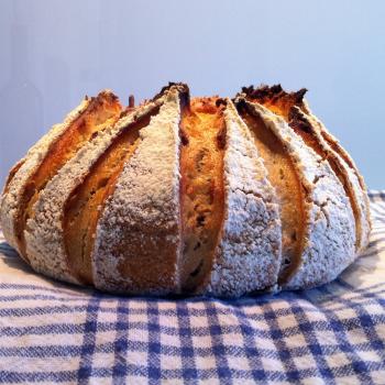 Mitzi Sunflower bread second overview