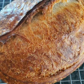 moomie Sourdough first overview