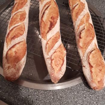 Mooswief Baguette second overview