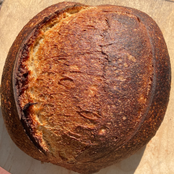 Mr. Robertson Country Loaf first overview