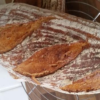 Ms. Marple Sourdough white bread first overview