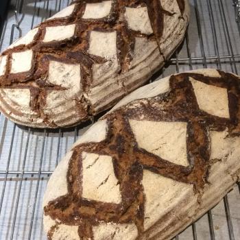 Murdo Breads second overview